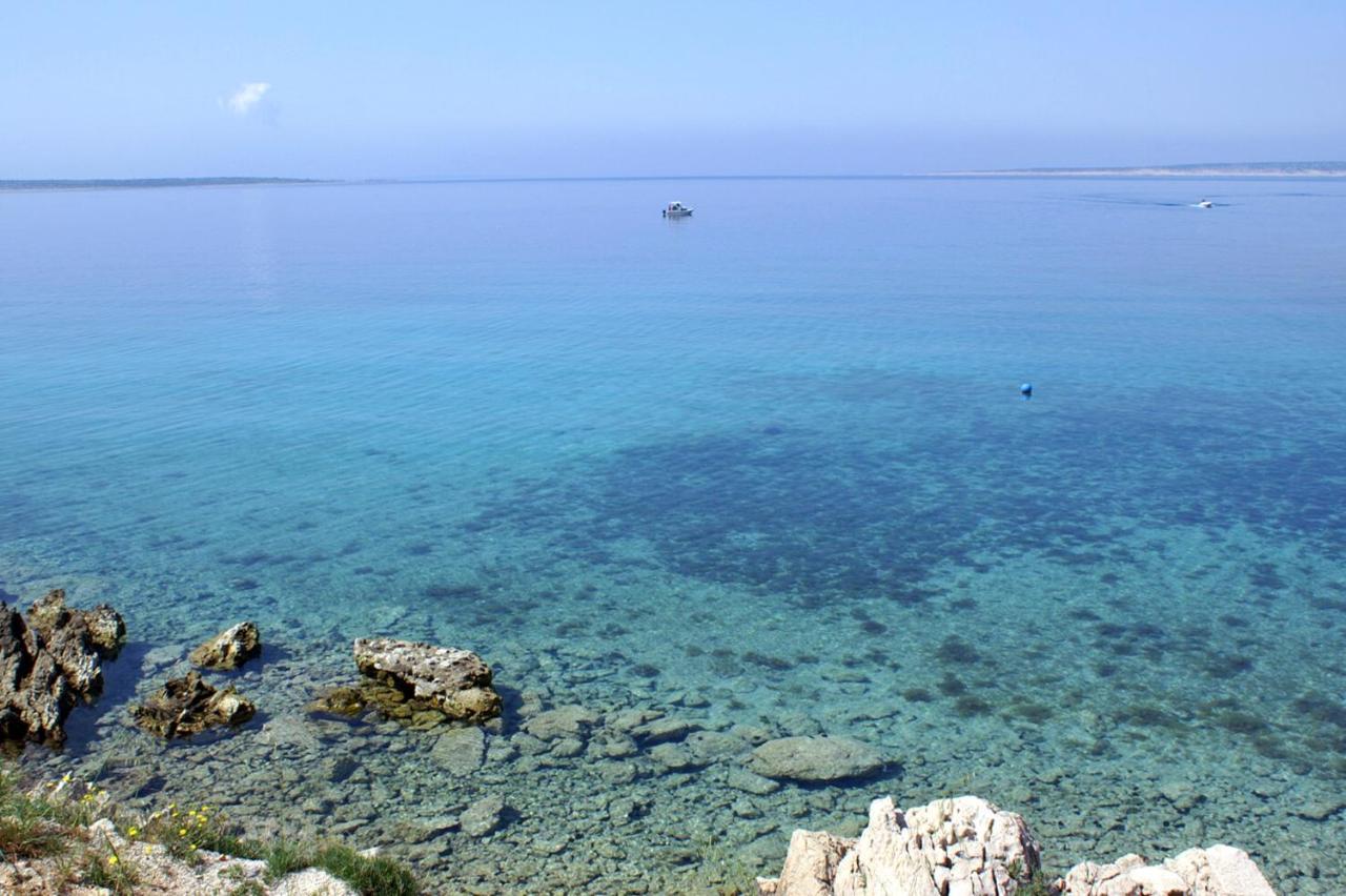 Apartments With A Parking Space Mandre, Pag - 16836 المظهر الخارجي الصورة